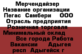 Мерчендайзер › Название организации ­ "Пегас" Самбери-3, ООО › Отрасль предприятия ­ Розничная торговля › Минимальный оклад ­ 23 500 - Все города Работа » Вакансии   . Адыгея респ.,Адыгейск г.